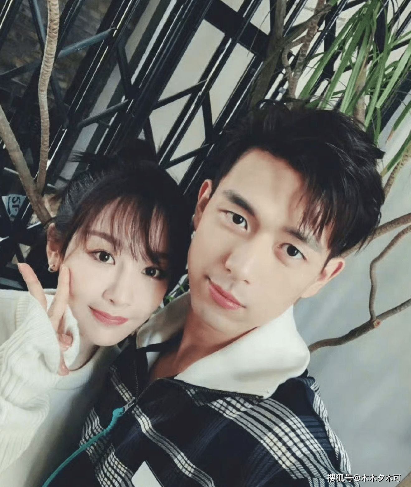 合作_杨紫李_芳华