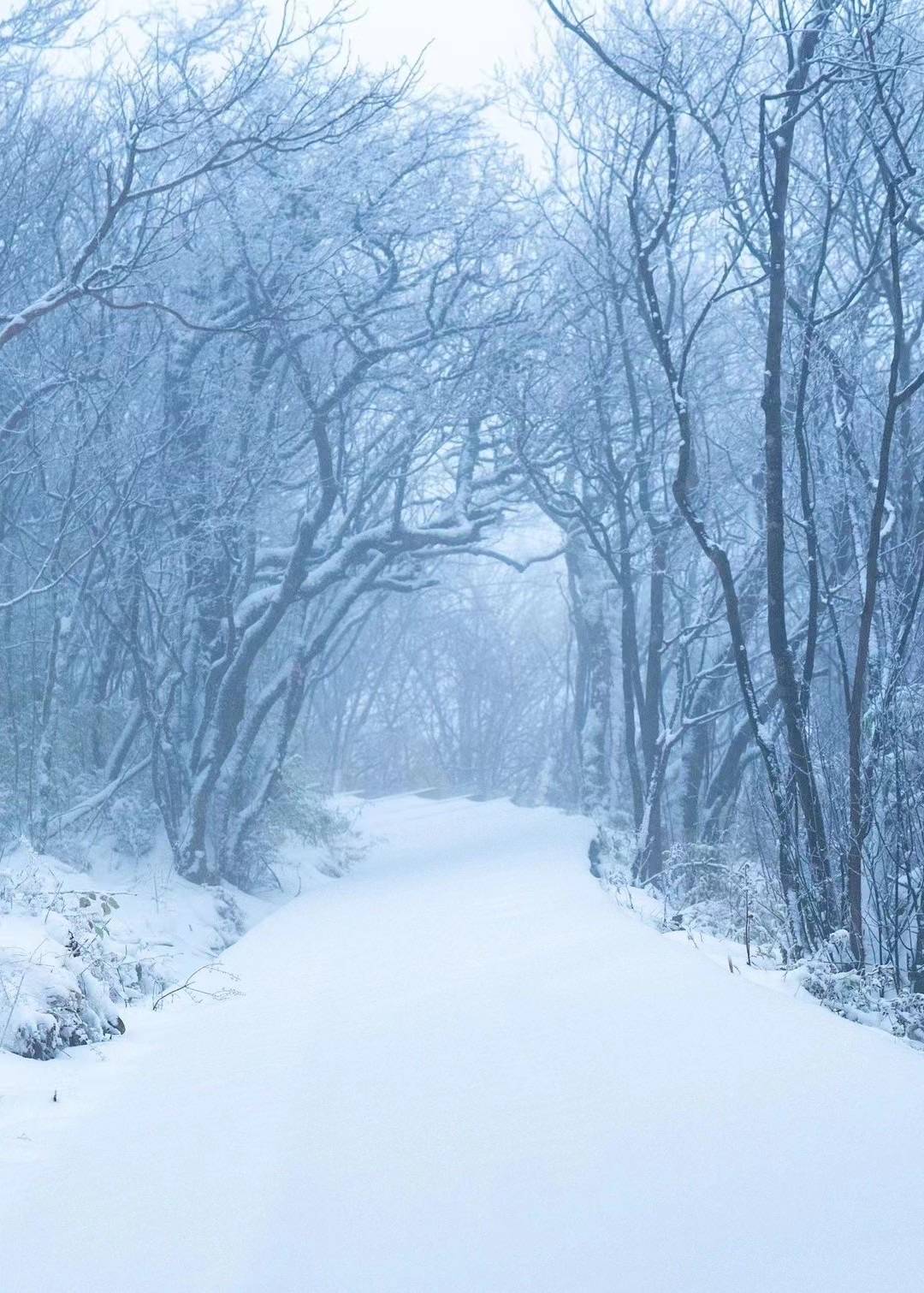 冰天雪地 今年初冬光头山迎来第一场雪