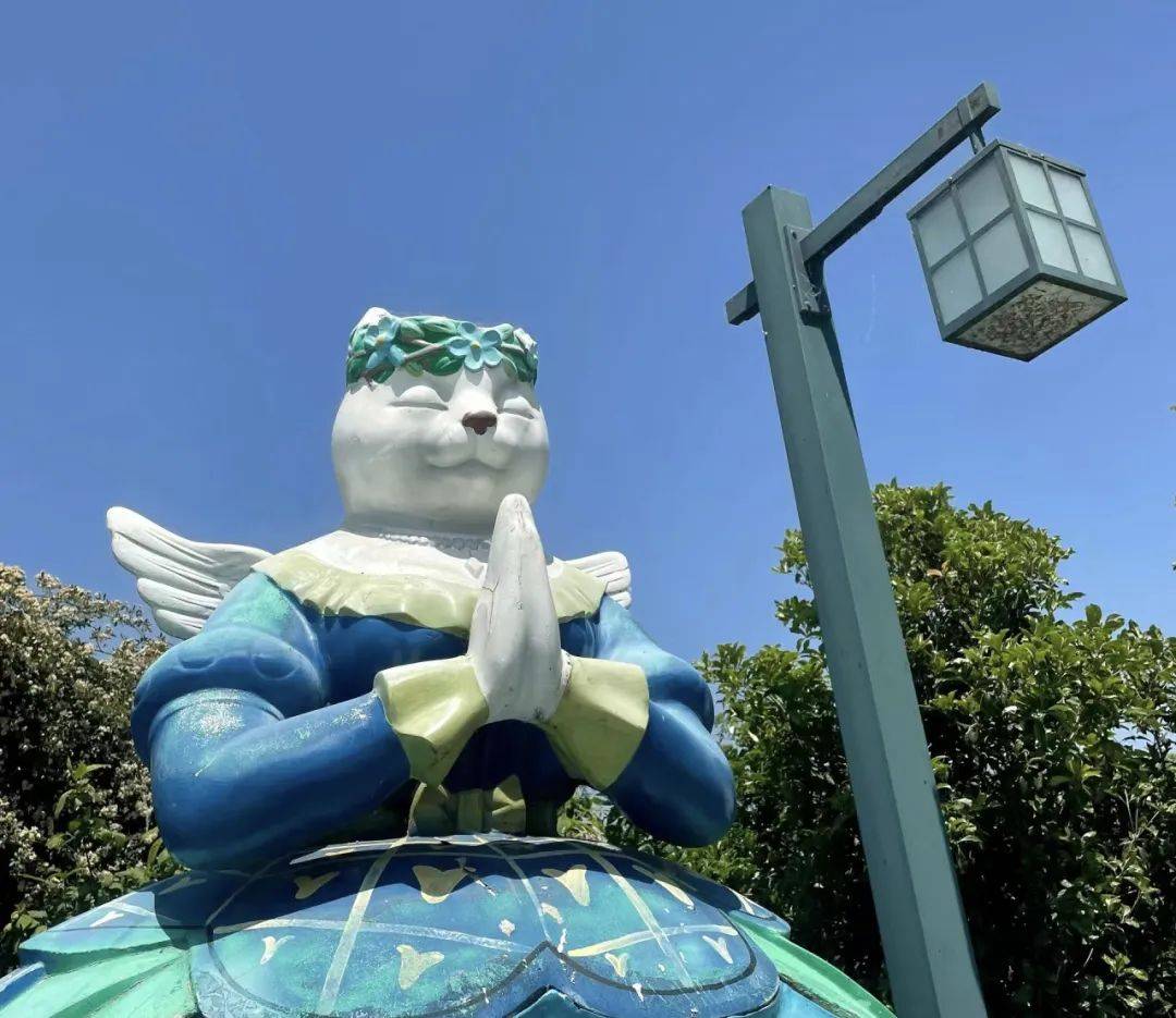 登陆肥猫岛 邂逅现实中的魔法喵星球_猫咪_毛孩子_游客