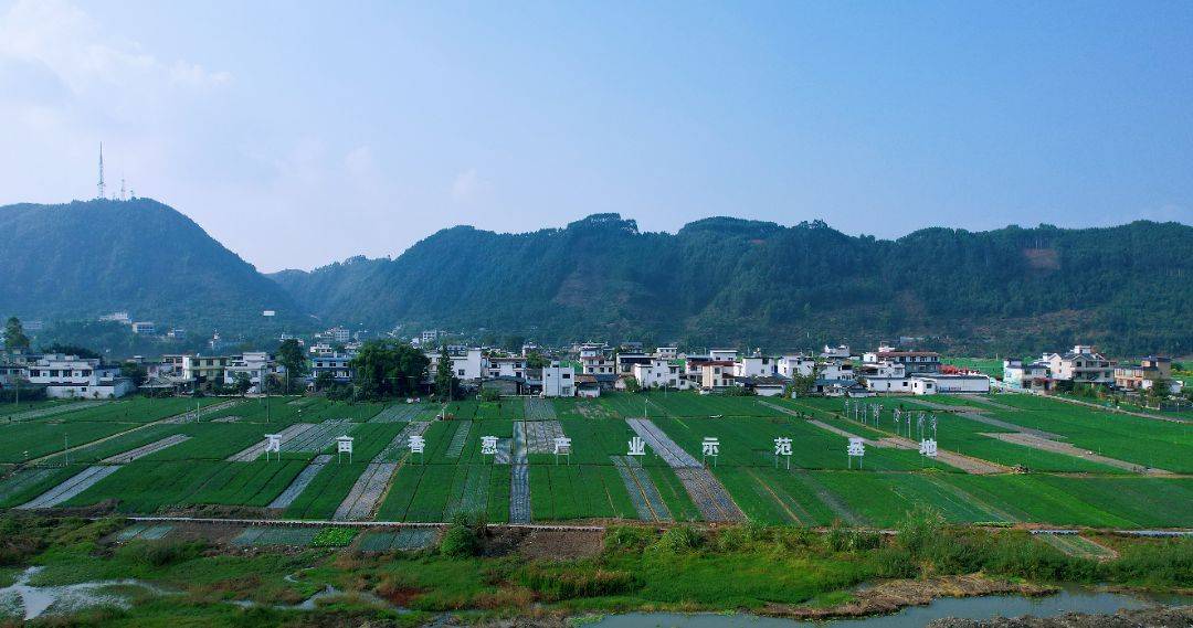 乐山_市中区_安谷镇