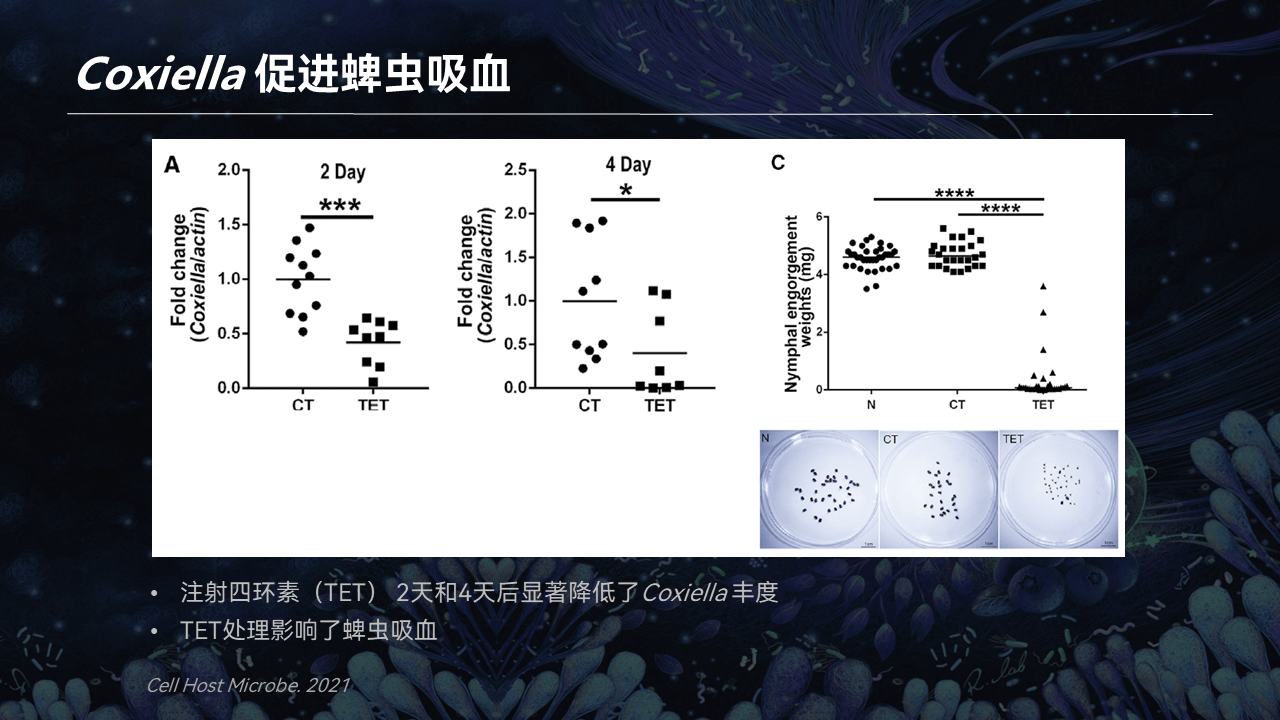 【圖文實錄】王敬文:蟲媒與共生菌代謝互作_蚊蟲_kynb_傳播