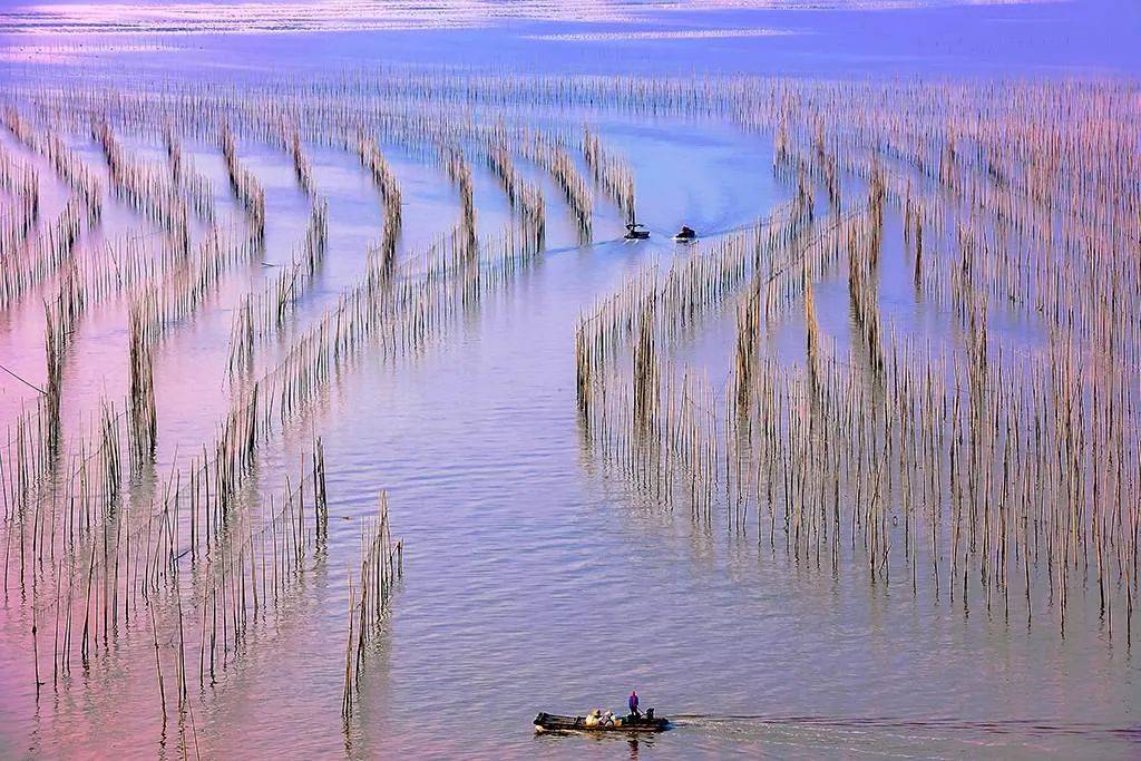 霞浦沙江村S弯图片