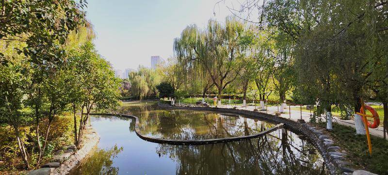 西安文景公园冬景宜人_窦翊明_美景_天气