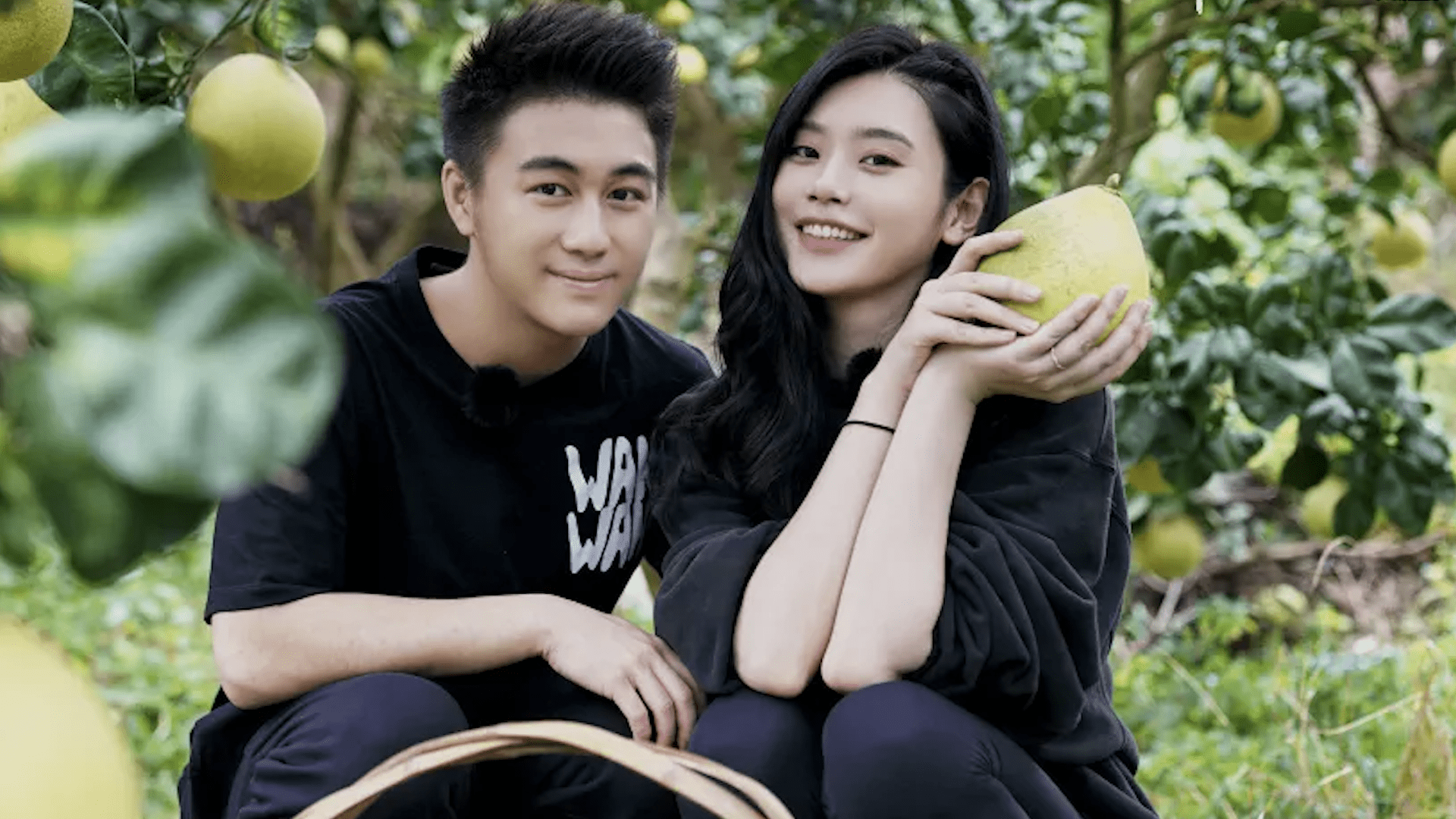 何猷君的臭豆腐挑战:美食观的碰撞与融合_食物_文化_心态