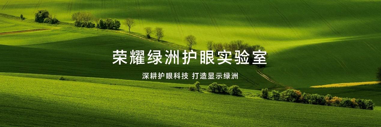 本年度最强护眼屏横空出世 官方称将由荣耀100系列首发搭载_技术_显示