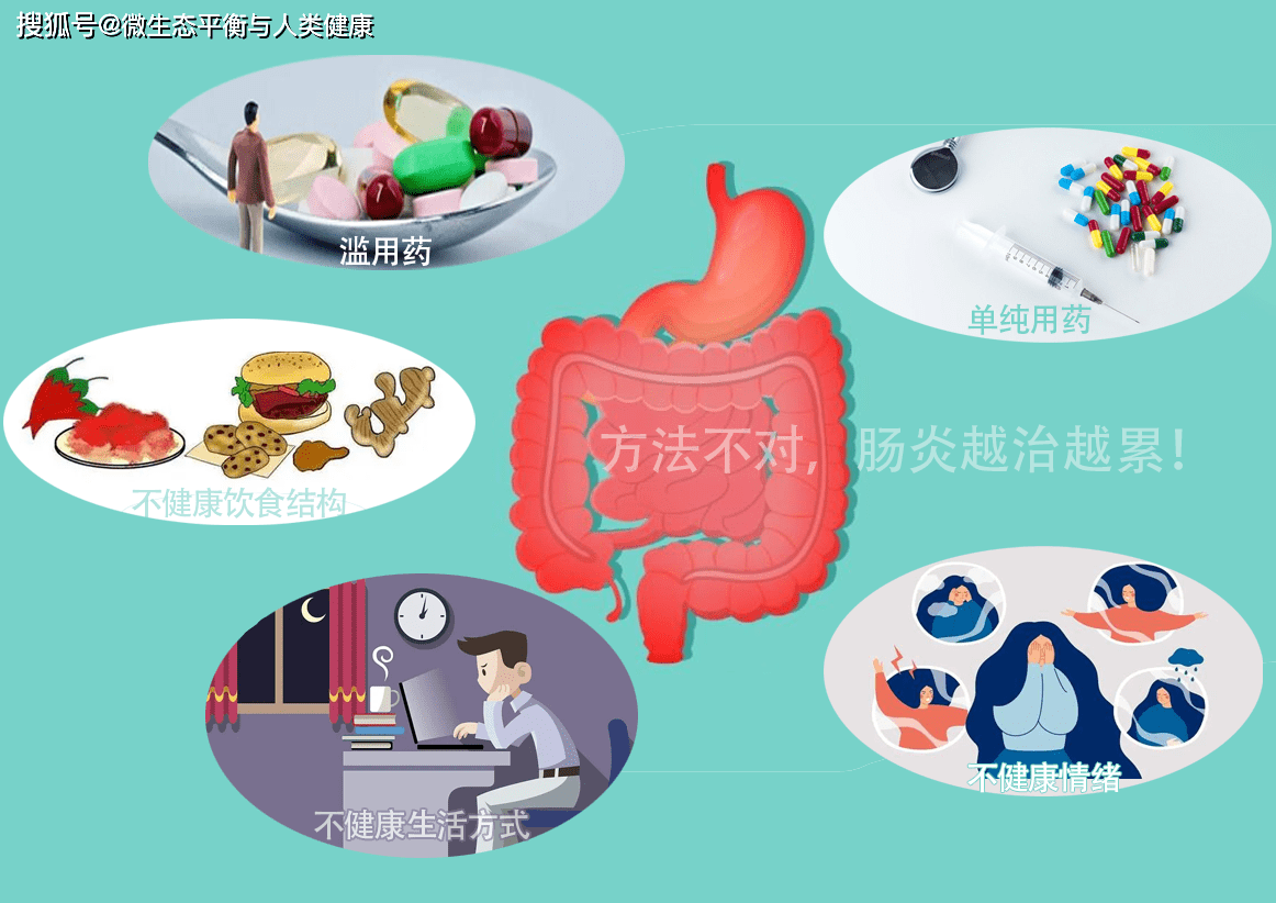 五駕馬車並重,潰結迎刃而解_腸道_功能_屏障