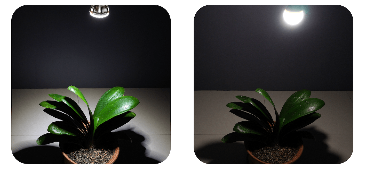 LED植物生长灯怎么做更有效？聚光和散热不能少！