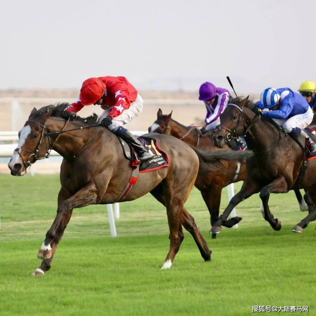 曼联传奇主帅弗格森爵士,旗下赛马斩获50万英镑头马奖金!