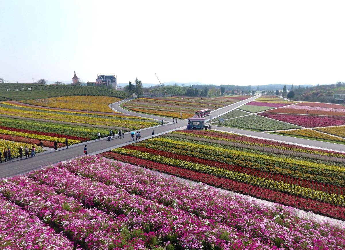 这里有着传统的农具和农耕方式,让人们可以亲身体验到农民们的辛勤