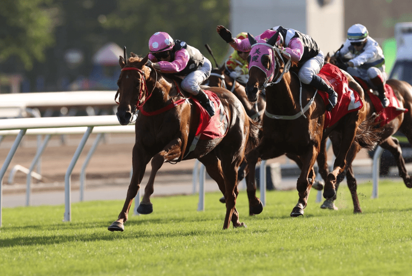 约翰_中银香港_头马