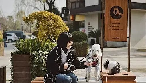 网友爆料在北京的某餐厅内，网友带着自己的宠物狗一同上桌吃饭，看上去十分不卫生，在网上引起了讨论。
