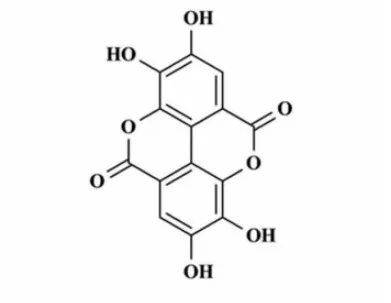 【合壹分享】合壹植提系列-護膚界的紅寶石_石榴_研究_氧化