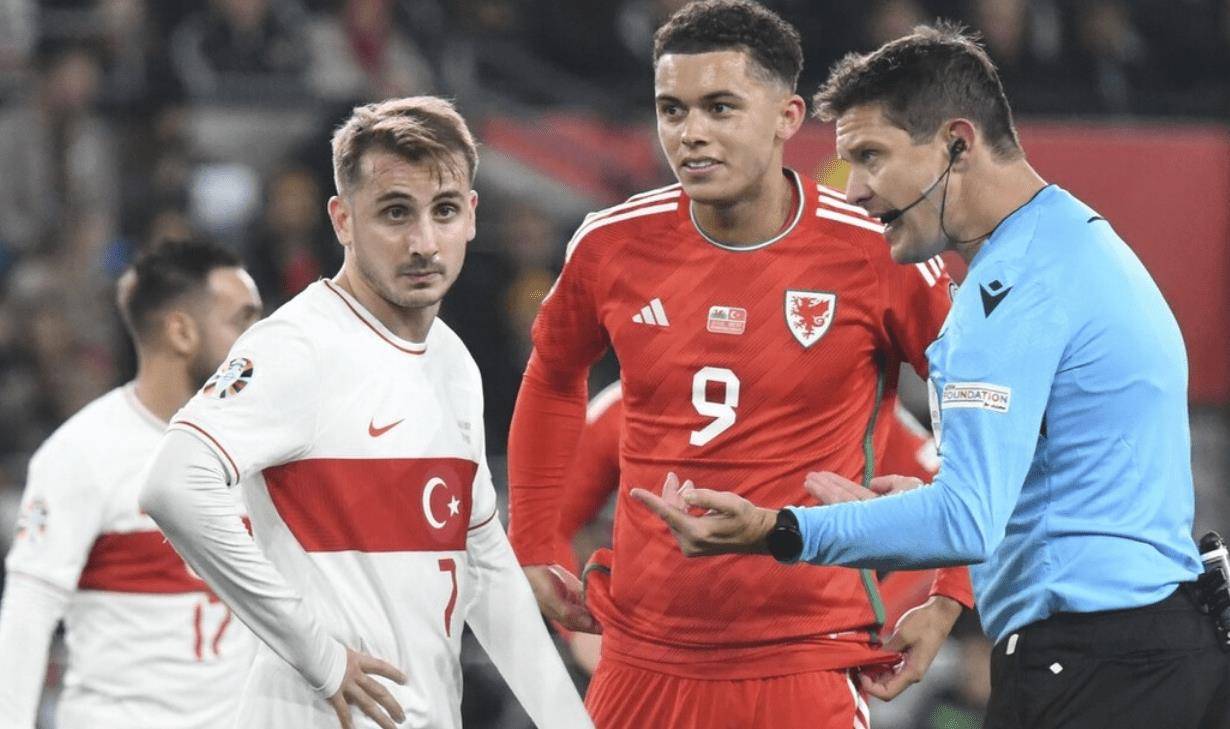 8场12分,无缘直通欧洲杯,威尔士小组第3,遗憾收场_土耳其_比赛