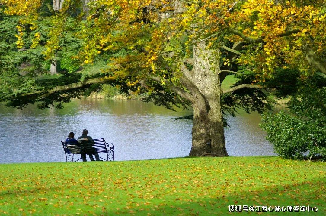 答案是:不抱怨_公園_建議_思維