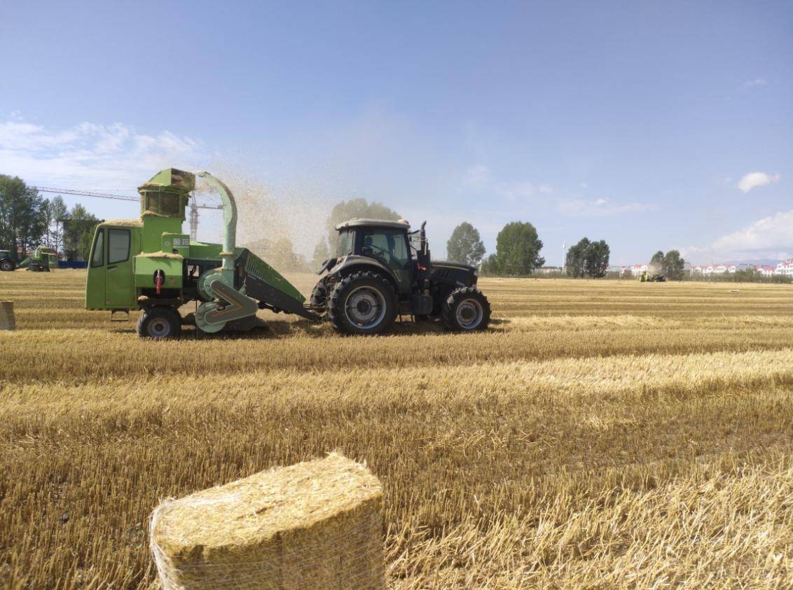 顺邦秸秆饲料打捆机成就00后小伙儿创业梦