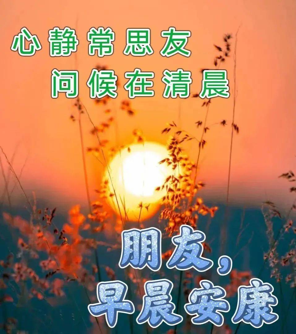 11月26日週日早上好,群發溫馨週末早安精選祝福圖片帶字問候語錄_生活