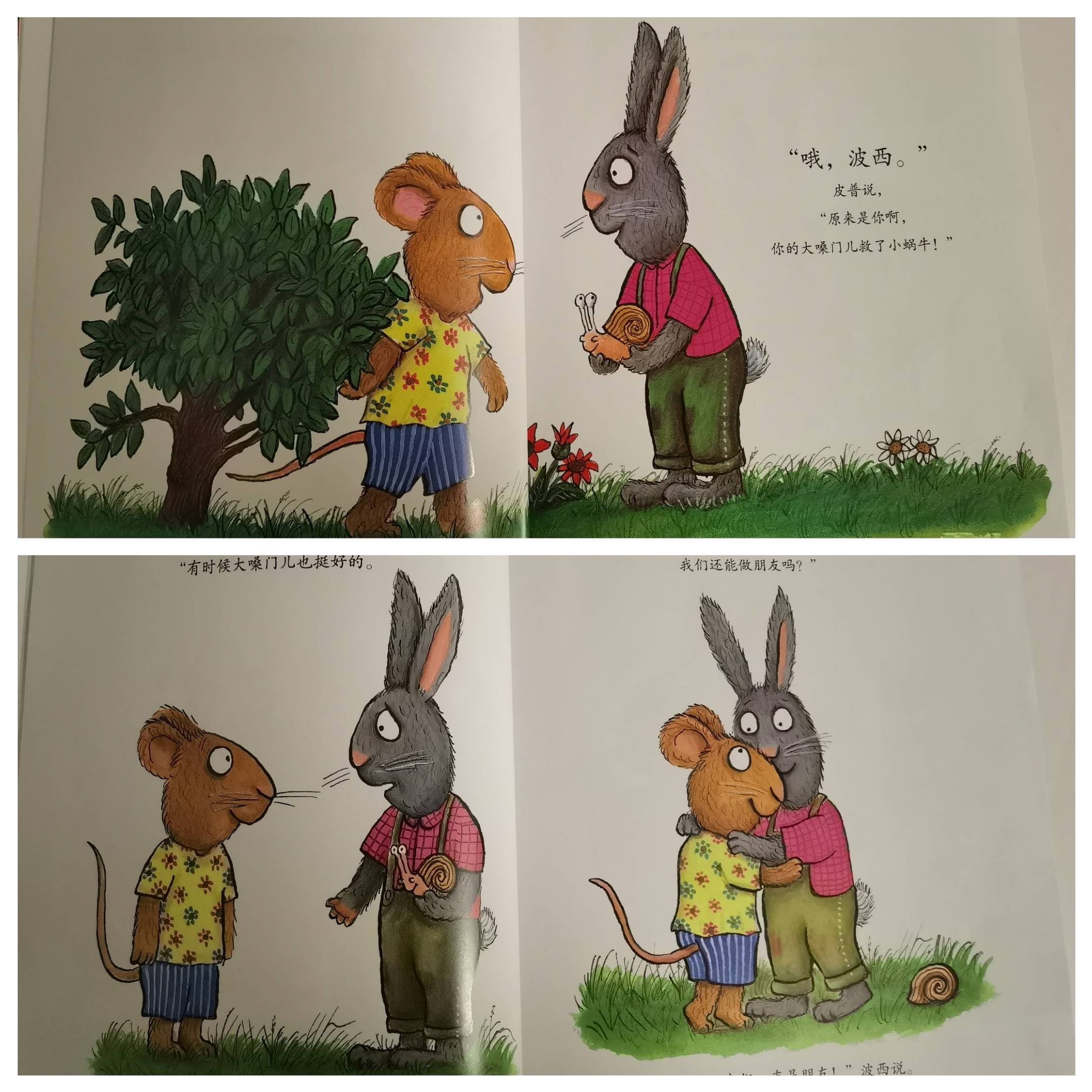 1.5岁绘本分享之《波西和皮普-小蜗牛》