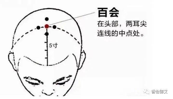 膀胱經以及足少陽膽經,手太陽小腸經,足陽明胃經等都和百會穴有交集!