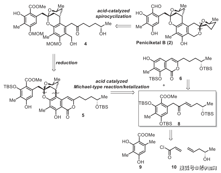 lett.:( )-peniciketal b的全合成_反應_結構_fecl