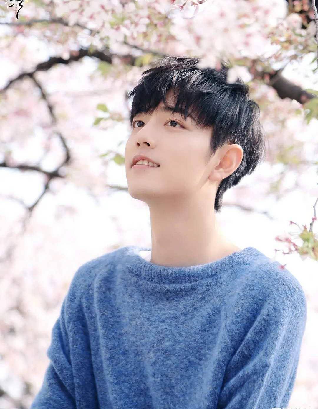 桃花树下的蓝色毛衣的少年,肖战真的超级适合这种小清新的调调.