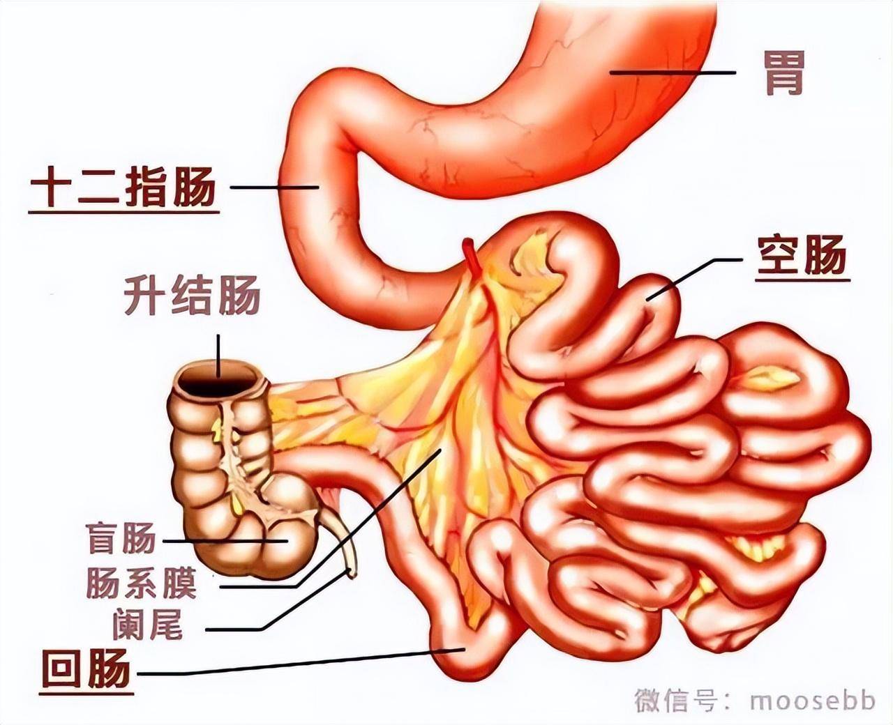 病变_诊治_诊断