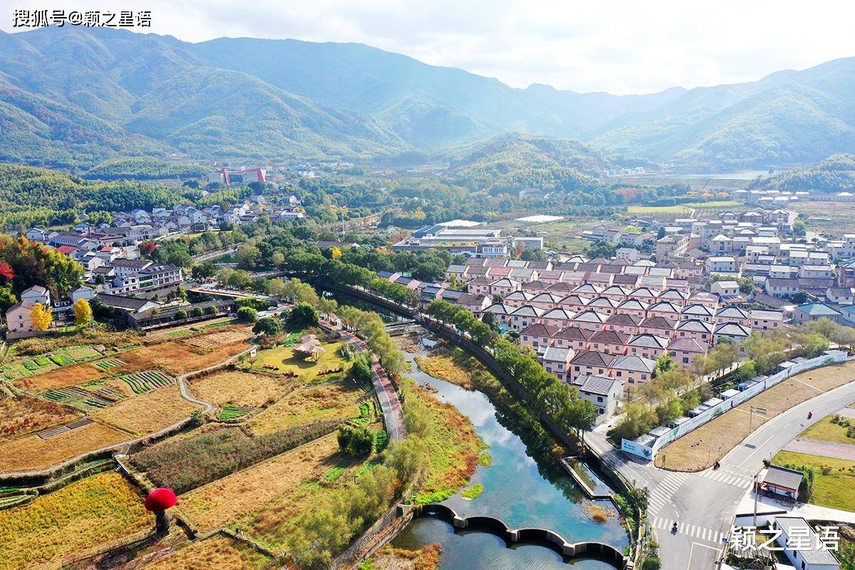 浙东红村,无土栽培"红芯"蔬菜,曾走进亚运食堂_坎头_植物_发展