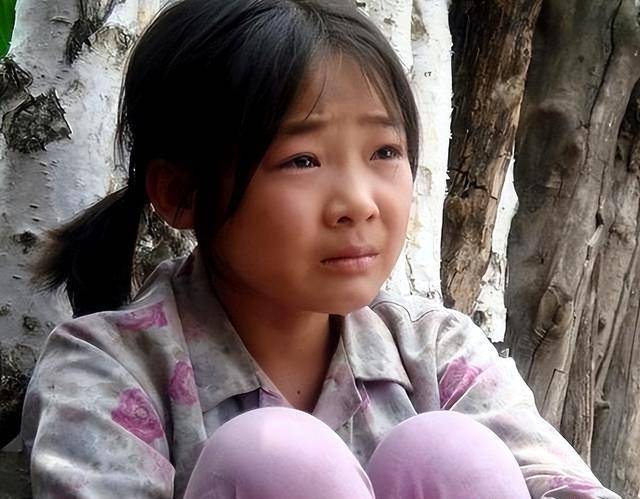 2007年,一部以农村孩子生活为题材的电影《红柿子》上映,这部低成本