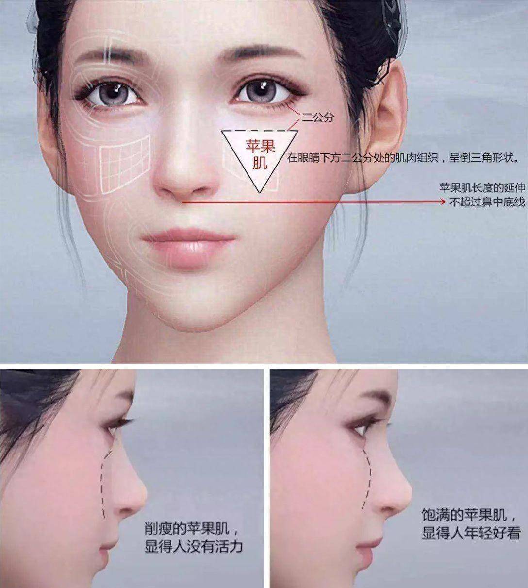 例如,当你微笑或大笑时,苹果肌会发生变化,看起来更饱满.