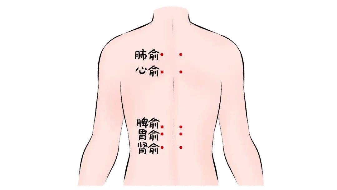 有鼻炎的人適合曬:曬到肺俞穴,溫肺散寒化溼,肺開竅於鼻,因此可以緩解