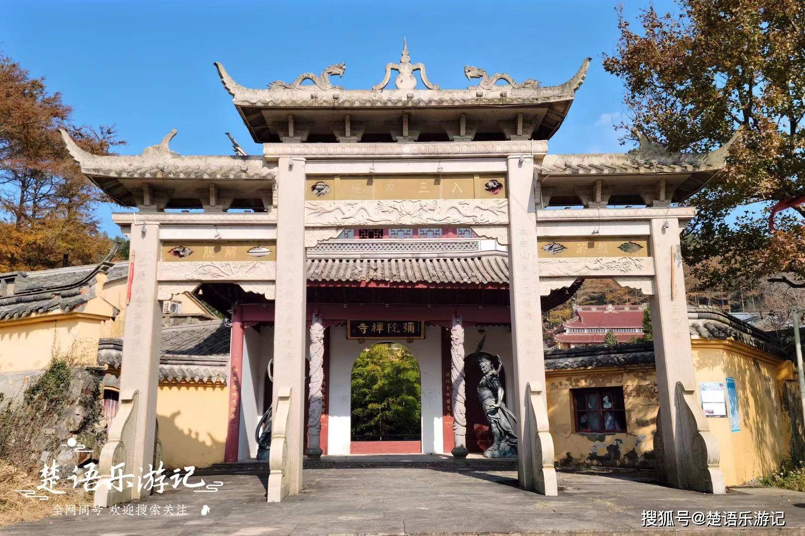 浙江宁波大盘山下弥陀寺,少为人知但历史悠久,是绝美的金钱松赏地