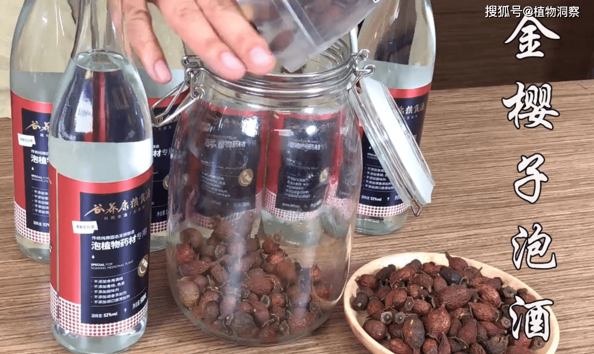 植物_野果_农村