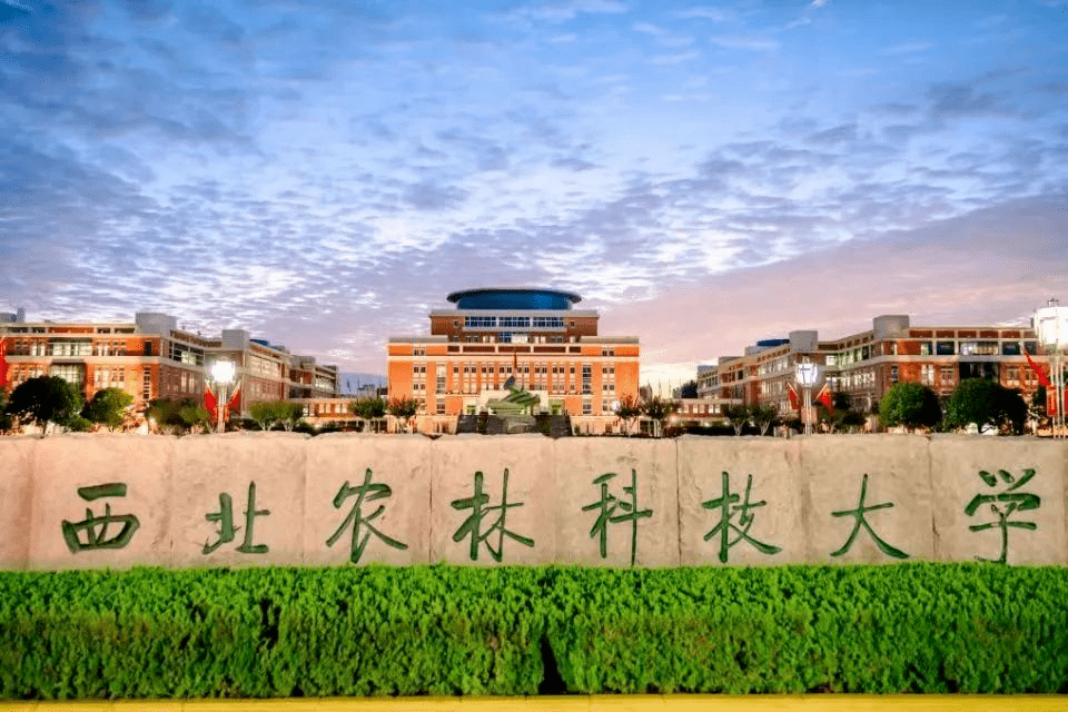 西北农林科技大学陈宁博副教授,博士后夏小婷,巴基斯坦留学生quratula