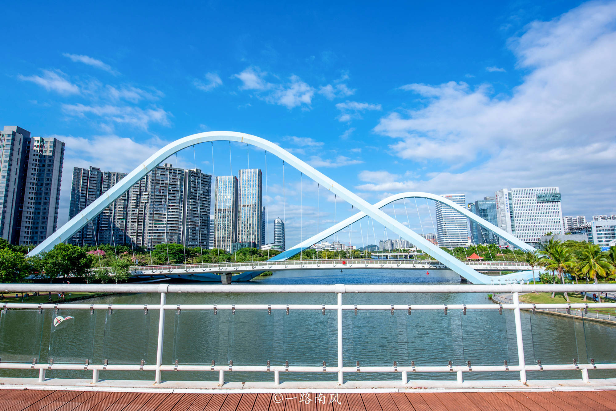 蕉门河人行桥和蕉门河车行桥之间有块草地和迷人棕榈林,英文 拼音"我