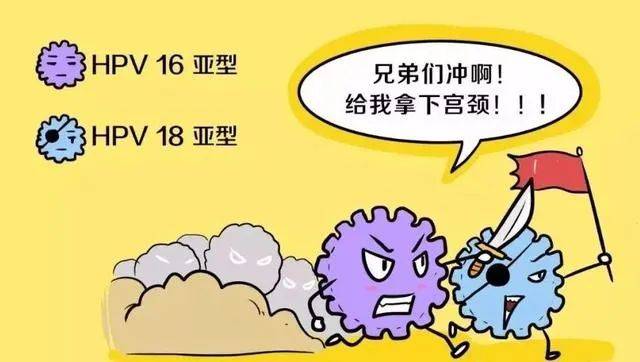 hpv住酒店会感染吗?感染怎么办?_传播_病毒_癌症