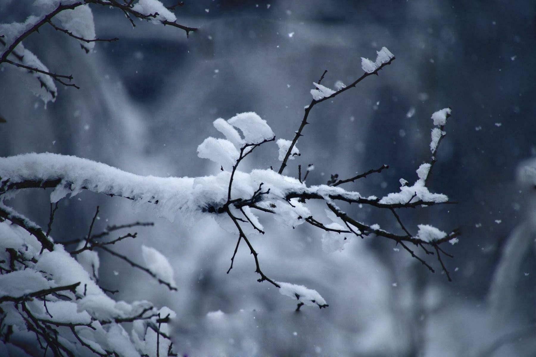 骊山雪景的诗词图片