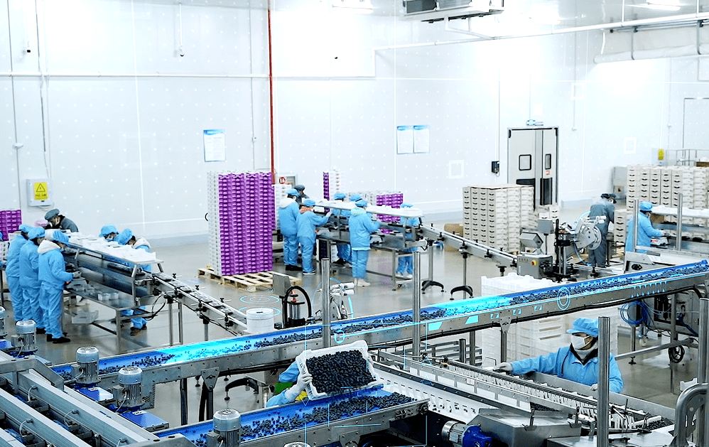 数实融合,向"智"而行—佳沃集团打造农食产业现代化特色样板_智慧