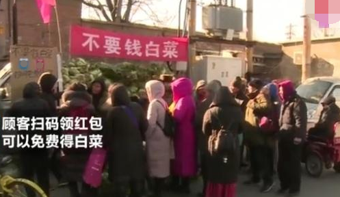 大哥“免费”卖白菜，3小时净赚5000元！网友恼：我咋没想到呢？(图1)