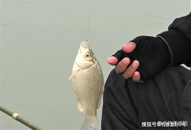 冬天野釣遇風浪走水怎樣釣輕口魚?