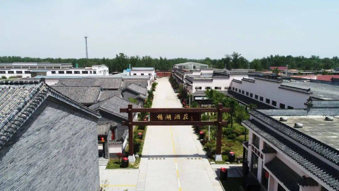 百元酱香大单品"杨湖双粮酱酒"隆重上市!_品质_产品_酒庄