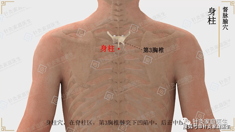 天樞穴位置:天樞位於腹部,肚臍旁開2寸處,左右各一.