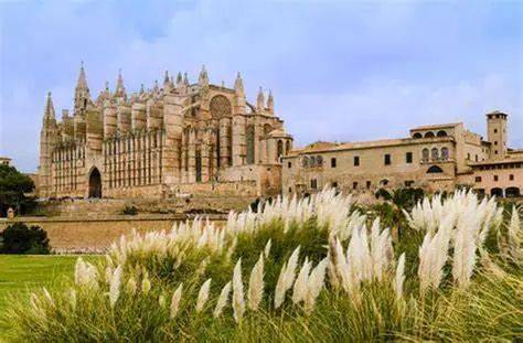 24年留学 | 意大利最古老的大学之一帕尔玛大学_master_in_and