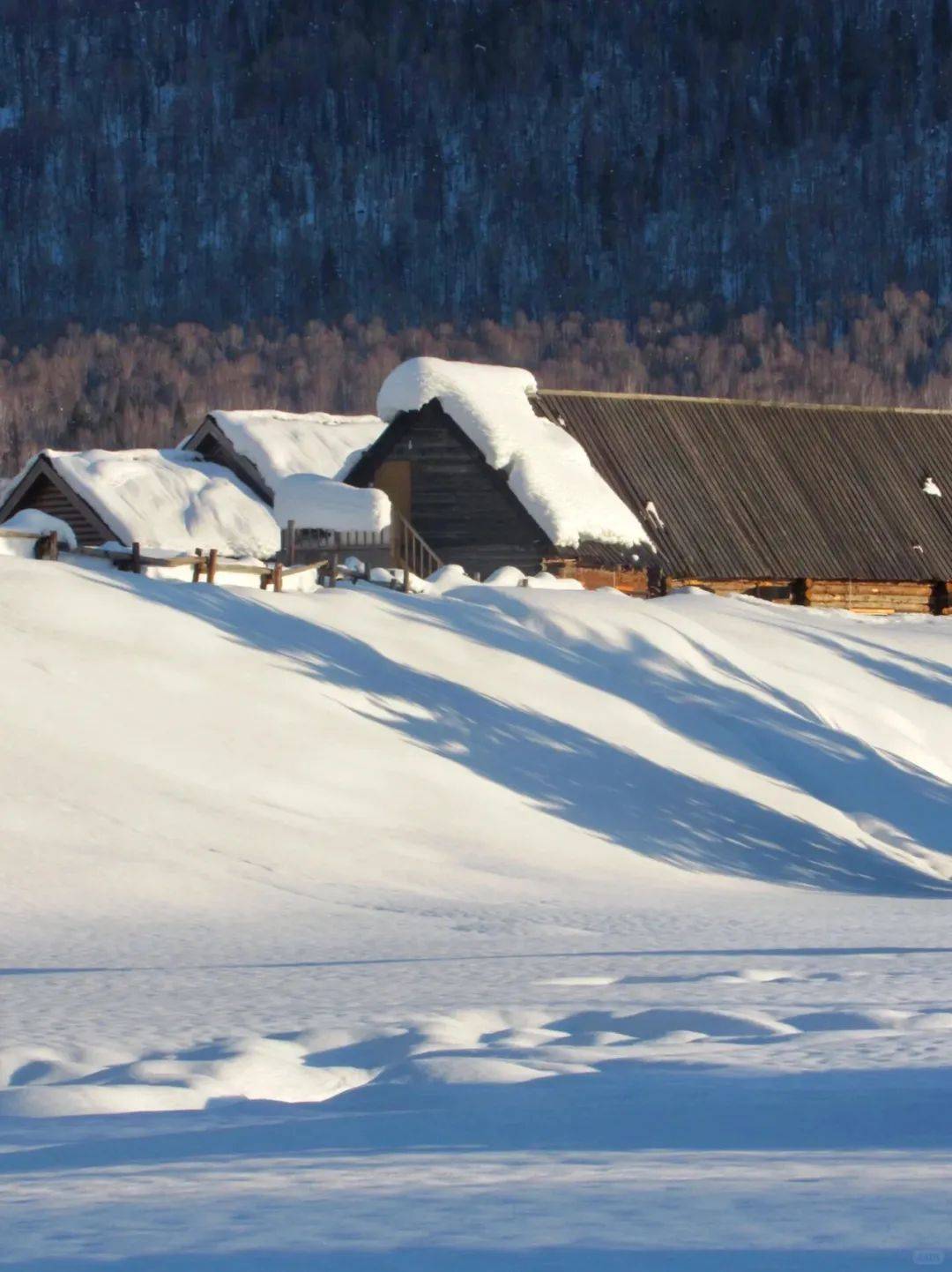 【丰草牧场】冬天,总得去新疆阿勒泰看一场大雪吧!_雪地_滑雪_自然