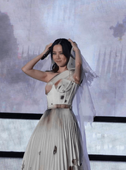 邓紫棋演唱会造型翻车,胸部设计成"苍蝇眼",网友质疑其品位