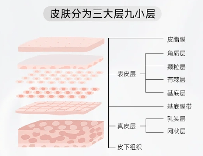 護理_進行_週期