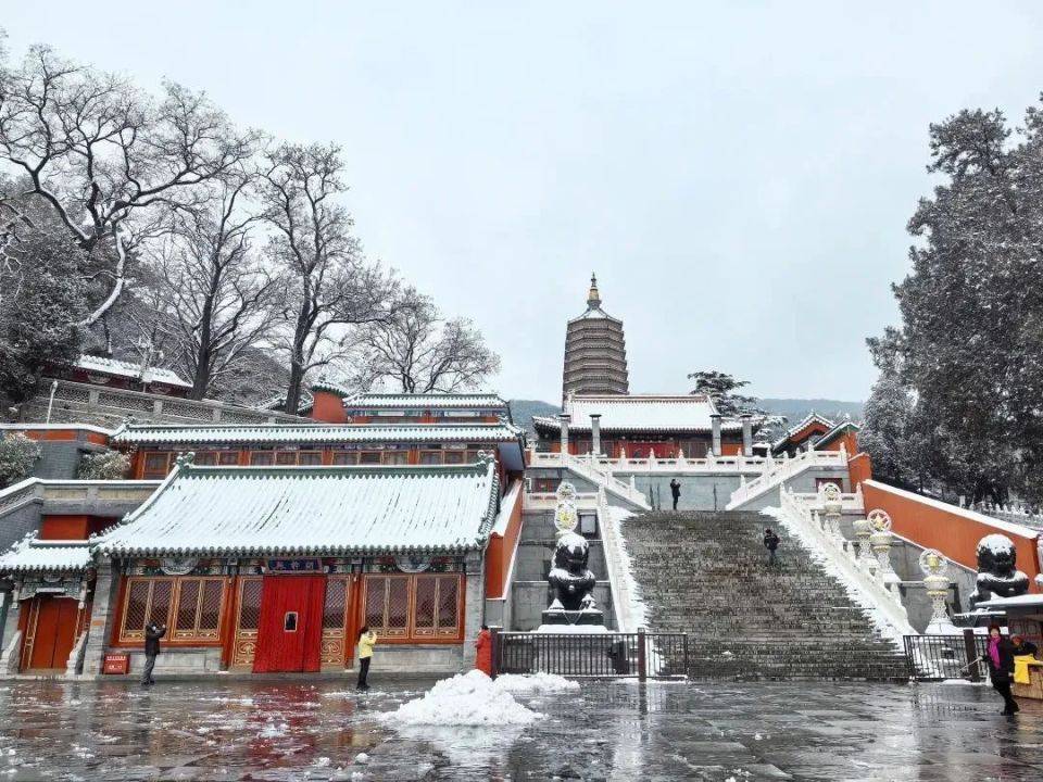 八大处雪景图片