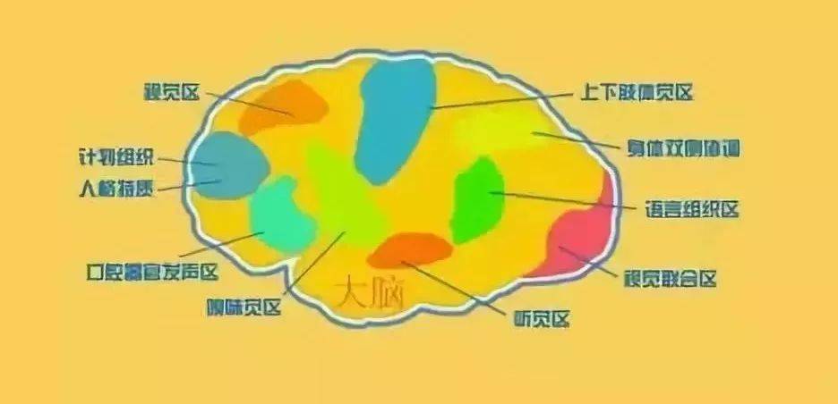 哈爾濱感覺統合失調學校星語特教學校,8種不同類型