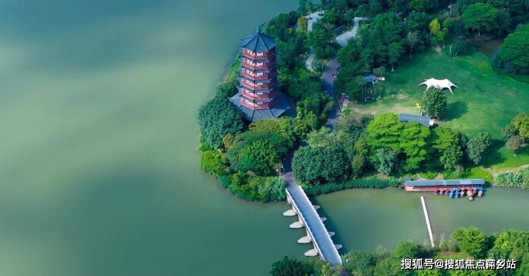华阳湖万科公园里图片