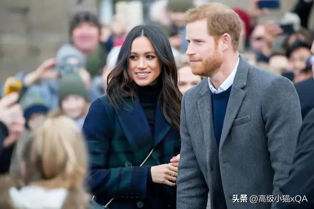哈里王子与梅根:人气暴跌,公众好感度下滑,王室形象受损_问题_行为