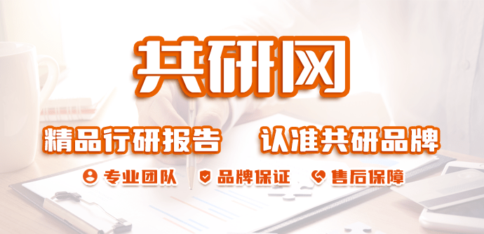 2024-2030年中國二氧化碳行業全景調研及投資潛力分析報