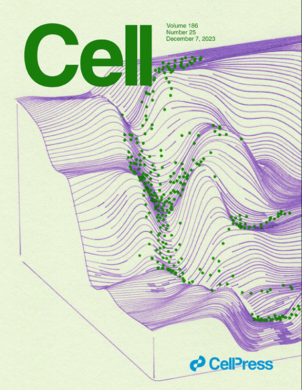 cell封面图片